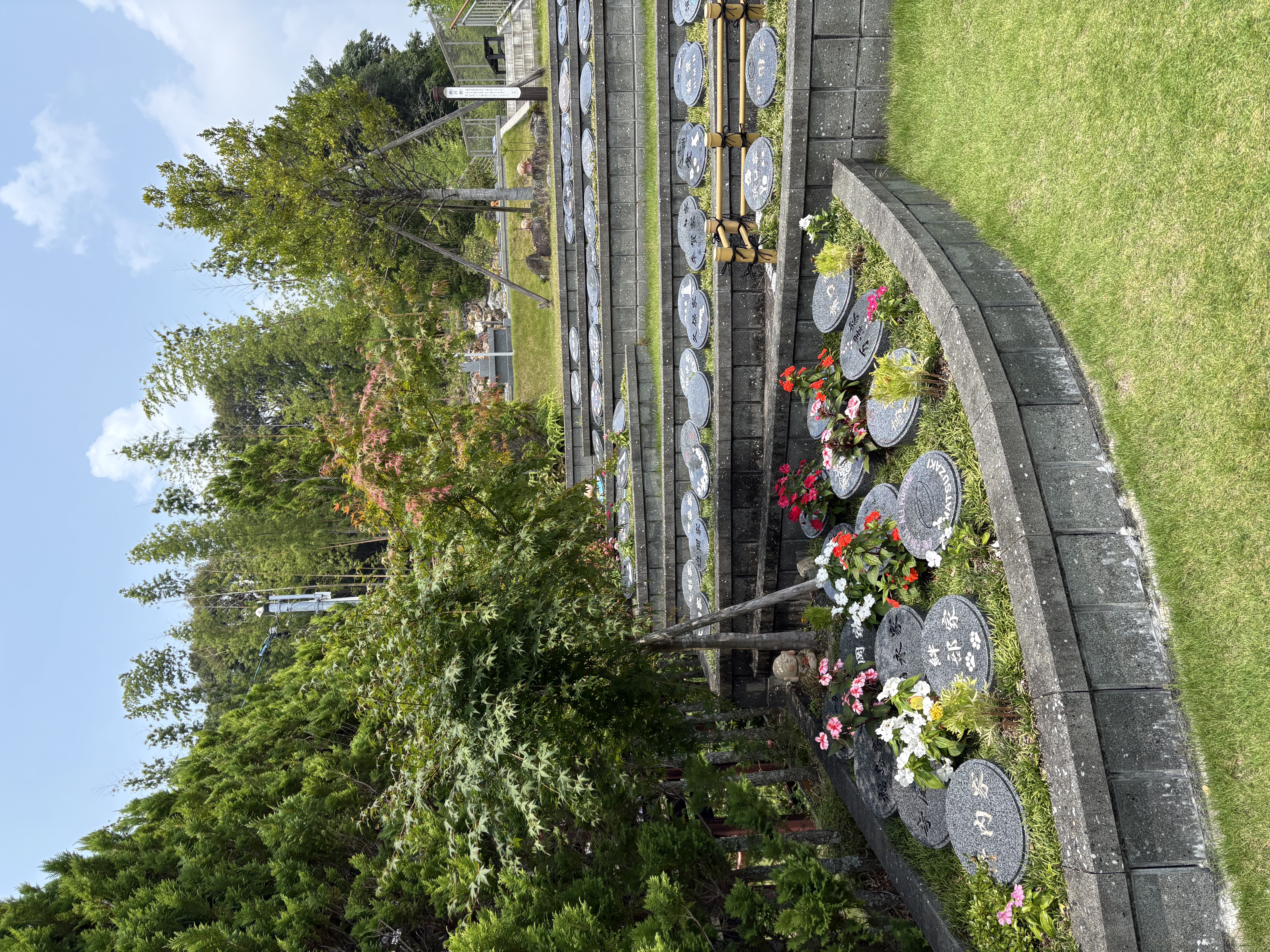 正傳寺　樹木葬　花